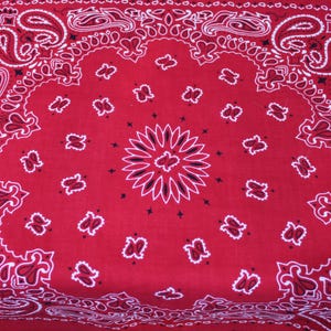 Bandana Paisley Turchese 55x55 Cm – Foulard In Puro Cotone Orlato, Multiuso, Lavabile In Lavatrice