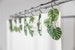 Monstera Vine Theme Shower Curtain Hook or Ring Accessories Decorations For Bathroom 