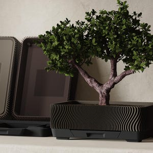 Może przedstawiać: Drzewko bonsai z zielonymi liśćmi i teksturowanym brązowym pniem jest posadzone w czarnej prostokątnej donicy z falistym wzorem. Donica ma szufladę na dole. W tle widoczne są dwie dodatkowe donice.