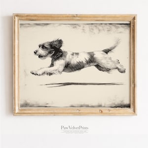 Puede incluir: Una impresión vintage enmarcada de un perro en pleno salto, en blanco y negro. El perro tiene un pelaje corto y texturizado con manchas oscuras y un collar. La impresión está enmarcada en un marco de madera de tono claro, con el texto "PawVelvetPrints" en la parte inferior.