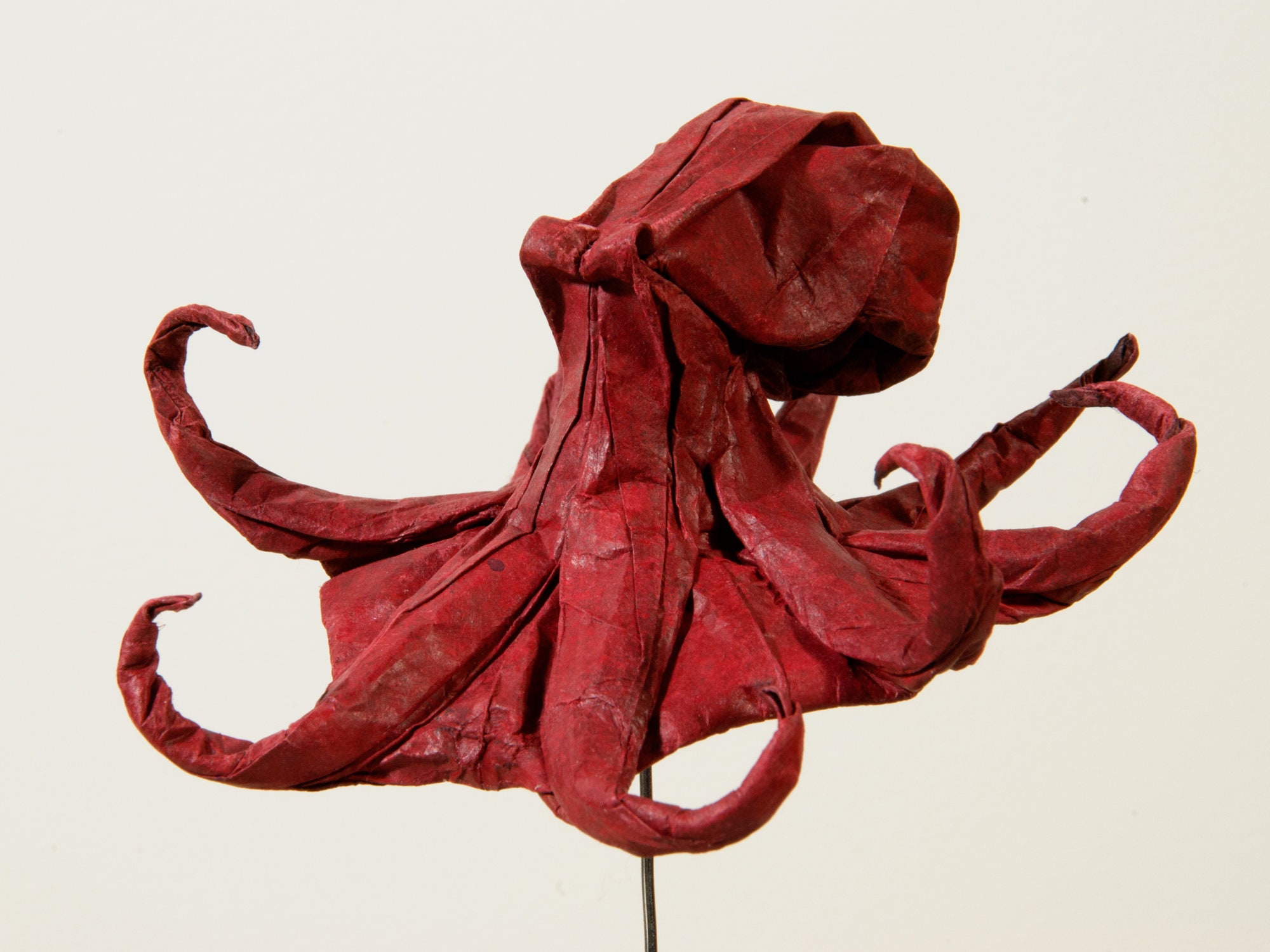 Paper Octopus Real Sculpture Origami Octopus Paper Sea Animal, Decorative, OOAK Sea Life ...