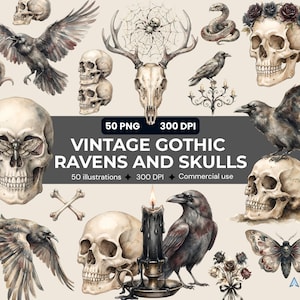 May include: A digital collection of 50 PNG illustrations featuring vintage gothic imagery including ravens, human skulls, a deer skull with antlers, a spider web, a snake, a moth, a black candle, and roses, with text reading 50 PNG 300 DPI VINTAGE GOTHIC RAVENS AND SKULLS.