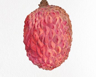 Handritat tryck med litchifrukt | Exotisk väggkonst för matälskare i köket (Giclée)