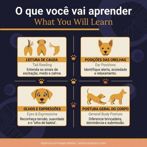 Könnte beinhalten: Lehrreiche Infografik mit dunkelblauem Hintergrund und orangefarbenem und weißem Text. Der Titel lautet "What You Will Learn". Die Grafik zeigt Illustrationen von Hunden und Text in Englisch und Portugiesisch zu Themen wie Schwanzlesen und Körperhaltung.