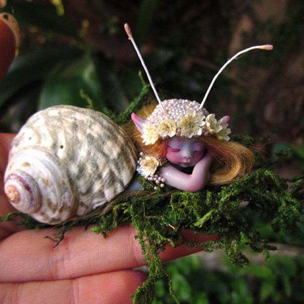 Cute & Tiny Mermaid Mersnail Fairy in Shell by Celia Anne Harris OOAK - Made to Order