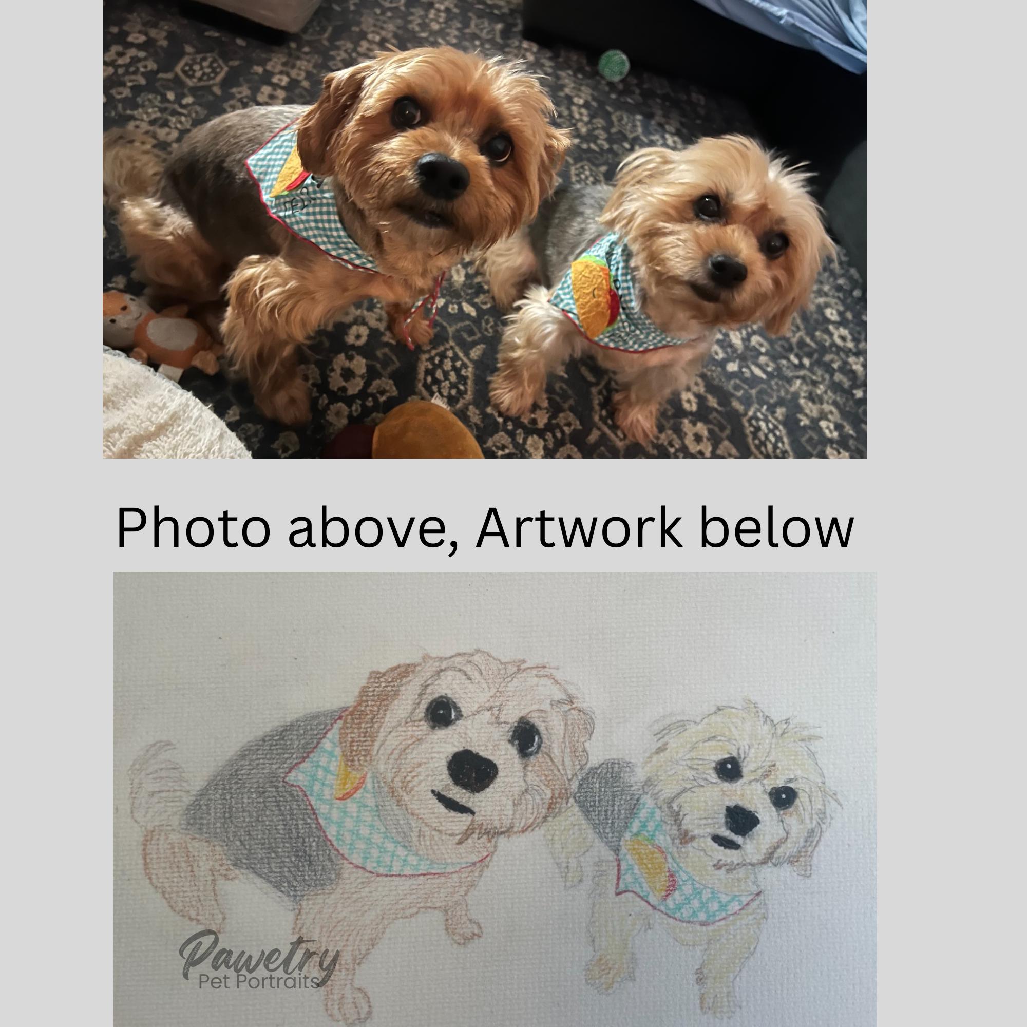 Custom Hand - Drawn Pet Portrait Illustration, Personalized Pet Art ...