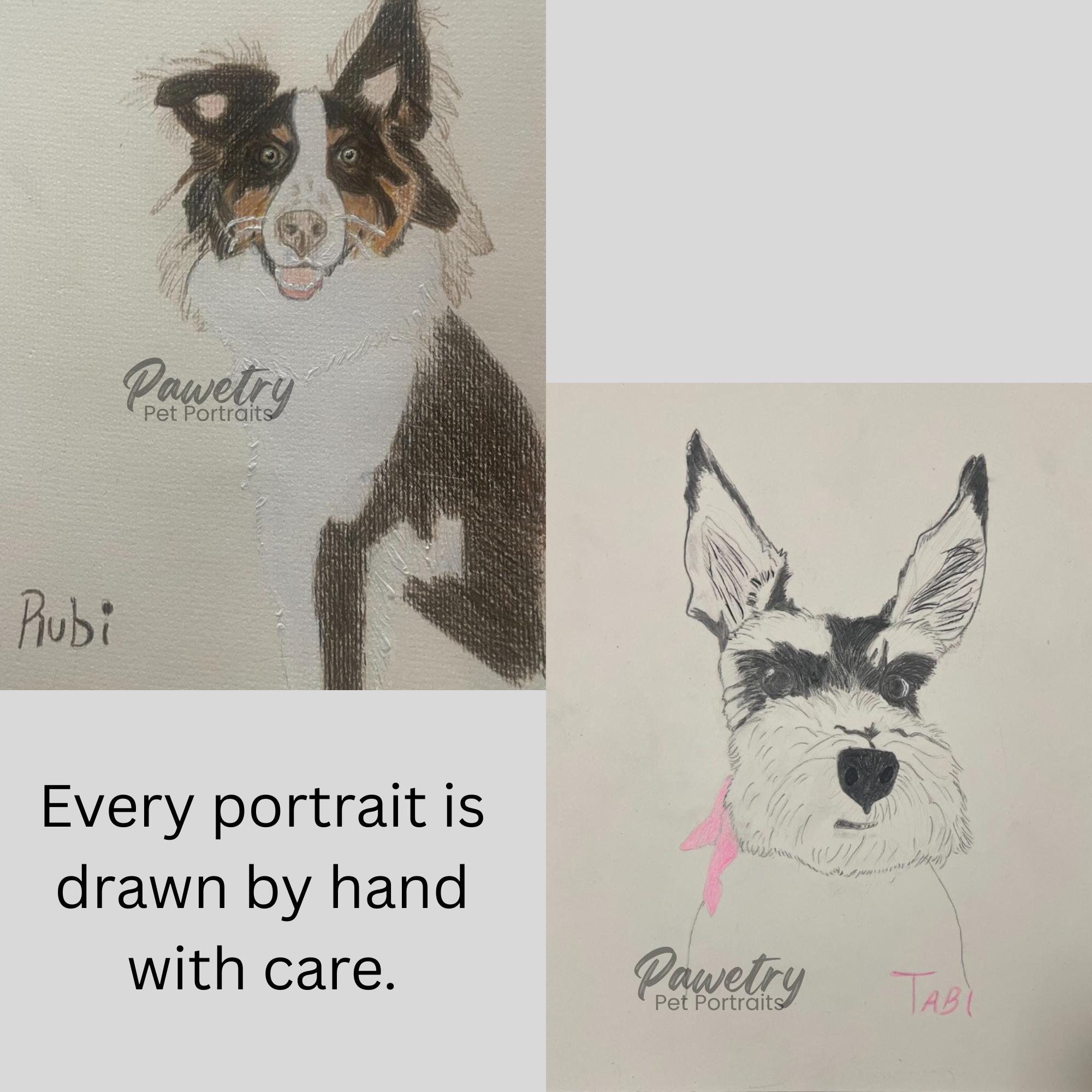 Custom Hand - Drawn Pet Portrait Illustration, Personalized Pet Art ...