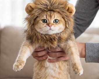 Löwenmähne Perücke für Katzen und kleine Hunde - Lustiges Haustierkostüm, Halloween-Party-Outfit