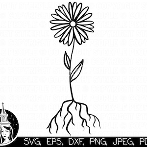 Gänseblümchen SVG, Wurzeln SVG, Blumen SVG, Blumenmuster, Gänseblümchen Png, Pflanzen svg, Wurzeln Png, Blumen Png, Gänseblümchen Schnittdatei | Cricut *Hochwertiges Design*