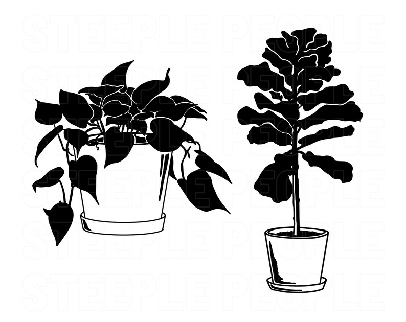 Plant SVG Bundle House Plant SVG Plant Clipart Plant Wall Etsy