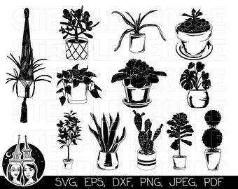 Plant SVG Bundle, House Plant SVG, Plant Clipart, Plant Wall Art | Cricut, Silhouette, Digital Print & More! *High-Quality Design*