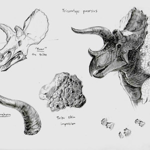 May include: A graphite pencil drawing featuring a Triceratops prorsus head, a skull labeled "Roar" the Trike, a curved horn labeled "Longhorn", a textured skin patch labeled "Trike skin impression", and small footprints labeled "Ceratopsipes tracks".