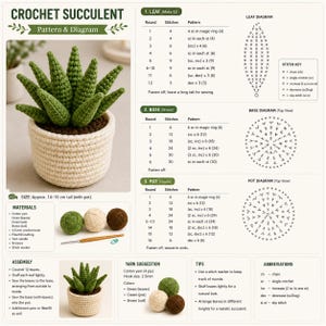 May include: A crochet pattern sheet for a succulent plant, featuring a photo of a green crocheted succulent in a cream pot, alongside written instructions, stitch diagrams, a materials list, and assembly steps for creating the plant.