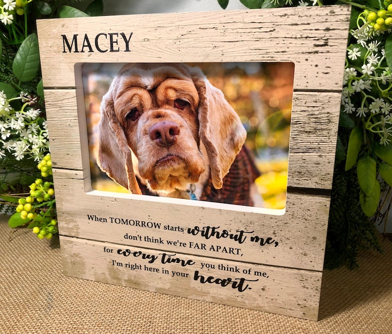 Pet Sympathy Bereavement When Tomorrow Starts Without Me Personalized Dog Memorial Gift Cat memorial picture Frame Pet Loss Gift