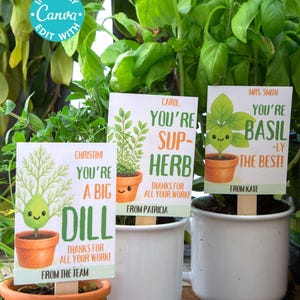 Etiquetas de regalo con hierbas en macetas, imprimibles, nota de agradecimiento para el maestro, líder scout, regalo para el personal del jardín, tarjetas de plantas divertidas kawaii, voluntario de oficina