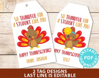 EDITABLE Thanksgiving Tags for Students Printable Template, For Kids Boy or Girl Turkey, Edit last line, Gift Tags, INSTANT DOWNLOAD