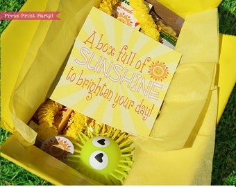 Sunshine Box Printables, Sunshine Gift Box, Cheer Up Care package, Sympathy Gift, Bad Day Gift,  Get Well Package, Box of Sunshine, DIY Gift