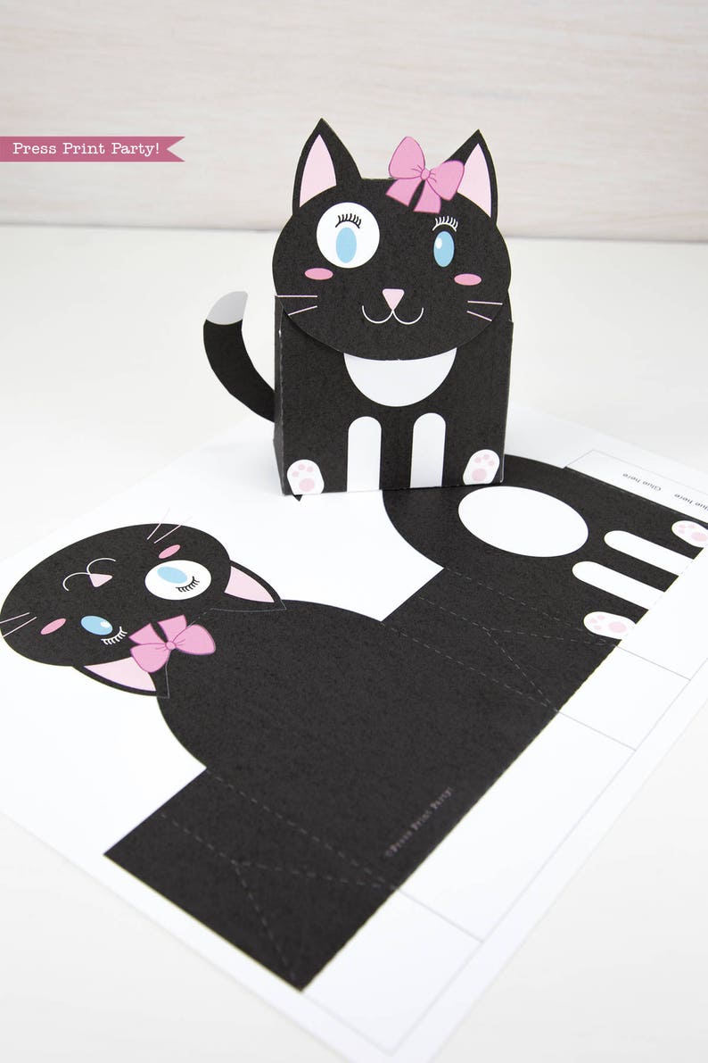 Girl Cat Gift Box Printable Cat Birthday Box Cat Party Etsy