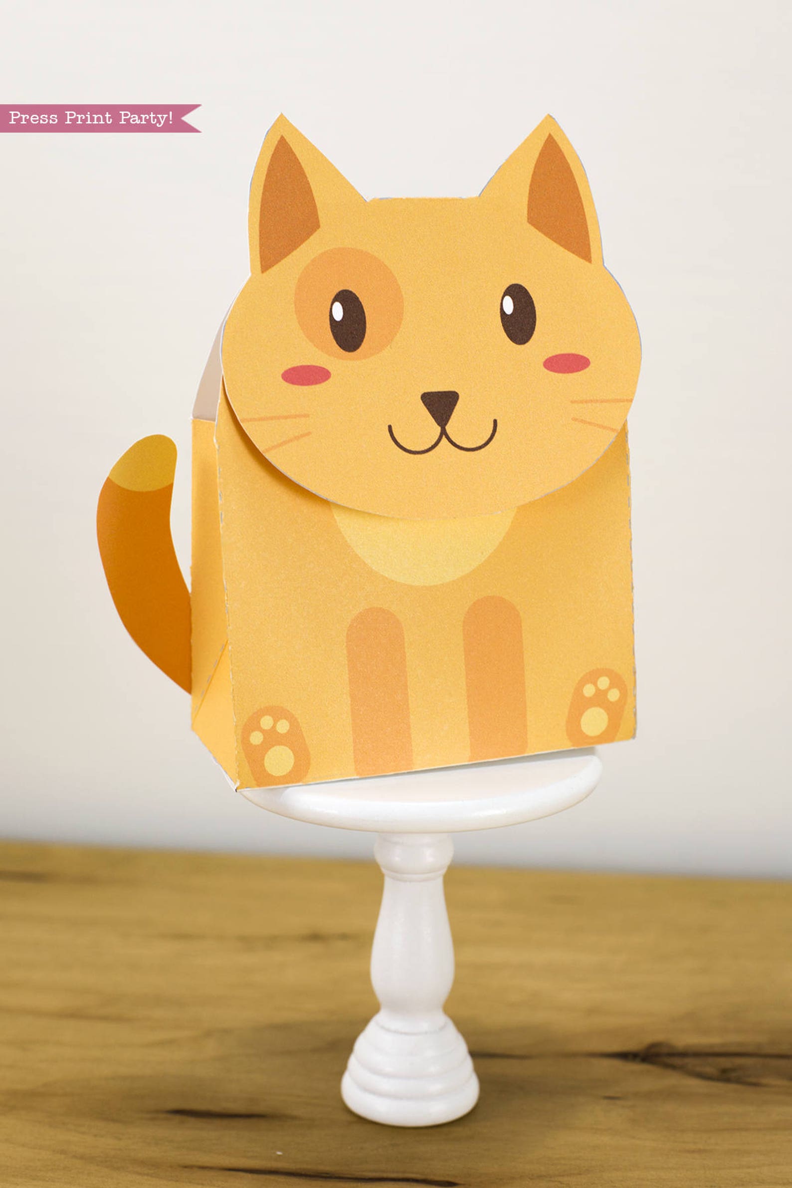 Cat Gift Box Printable DIY Printable Box Cat Party Etsy