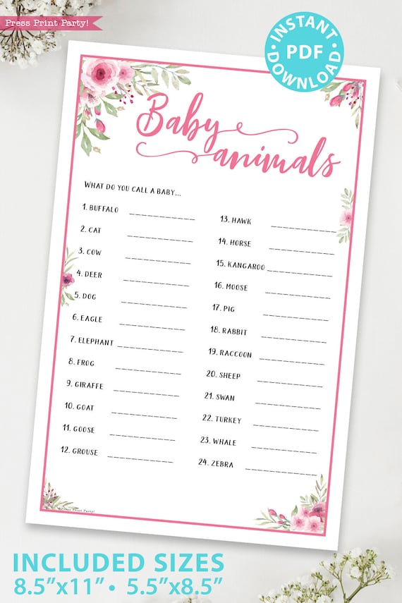 Baby Animals Baby Shower Game Printable, Pink Flowers Baby Shower Game Template, Funny Baby Shower Activities, Girl, INSTANT DOWNLOAD Il_570xn