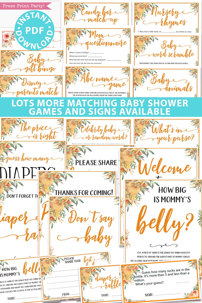 Little Pumpkin The Price is Right Baby Shower Game Printable, Rustic Fall Baby Shower Game Template, Funny Activities, INSTANT DOWNLOAD image 3