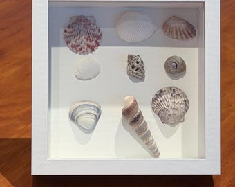 Surrendered Beauty SHELL ART 5x5