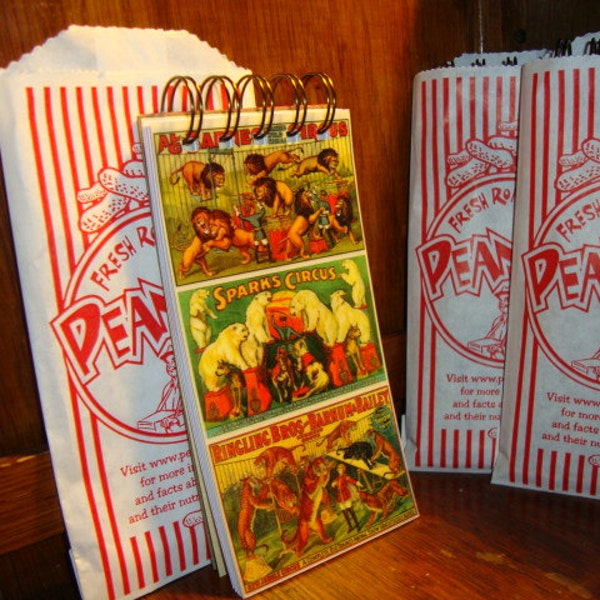 CIRCUS ANIMAL BIRTHDAY Party Favor: 50 page Handmade Mini Journal Book Packaged in a Peanut Bag
