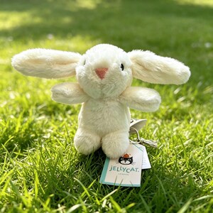 Bag for Jellycat Bashful Bunny - Etsy