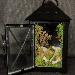 Miniature Lantern Bone Terrarium