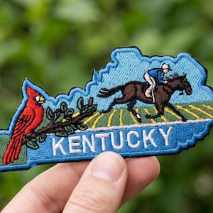 Horse Racing Embroidered Patch
