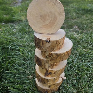 May include: A stack of six wooden tree slices, each approximately 3 inches in diameter, arranged vertically on green grass. The natural wood has visible grain and bark edges, creating a rustic aesthetic. The top slice is centered.