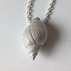 Sterling Silver Seashell Pendant - Etsy