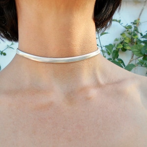 May include: A silver choker necklace with a herringbone design. The necklace is approximately 0.5 inches wide and sits close to the neck. The background features green foliage and a white wall.