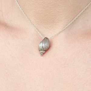 May include: A silver chain necklace with a seashell pendant. The seashell is a light brown colour with a textured surface.