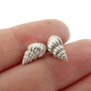 3D Sterling Silber Muschel Ohrstecker: kleiner Strand Schmuck