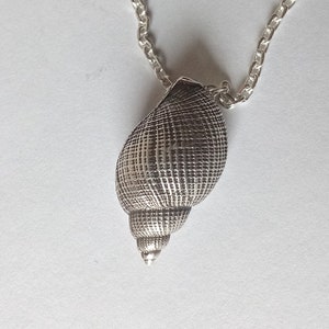 Sterling Silver Seashell Pendant - Etsy