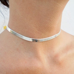 Pu&ograve; includere: Un girocollo a catena d'argento. La collana &egrave; sottile e delicata, ed &egrave; realizzata in un metallo liscio e lucido.