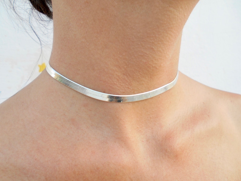 Pu&ograve; includere: Un girocollo a catena d'argento. La collana &egrave; sottile e delicata, ed &egrave; realizzata in un metallo liscio e lucido.