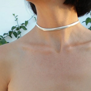 May include: A silver choker necklace, approximately 0.25 inches wide, worn around the neck. The necklace has a smooth, reflective surface. The background includes a white wall and green foliage.
