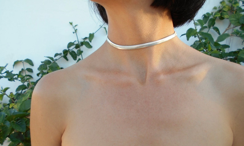 May include: A silver choker necklace, approximately 0.25 inches wide, worn around the neck. The necklace has a smooth, reflective surface. The background includes a white wall and green foliage.