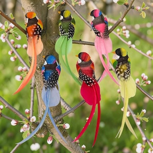 Pode incluir: Uma coleção de pássaros decorativos coloridos com longas penas de cauda pousados em galhos de árvores. Cada pássaro apresenta uma combinação única de cores, incluindo laranja, rosa, vermelho, azul, verde e amarelo, com detalhes salpicados em preto e branco.