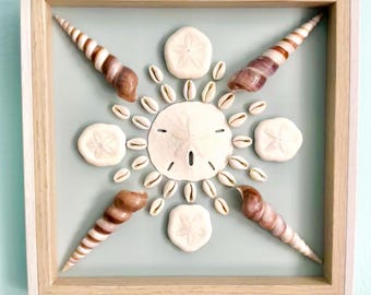 Boîte à souvenirs artisanale en coquillages | Dollar des sables, cauris, coquillages touffus, cadre en bois naturel