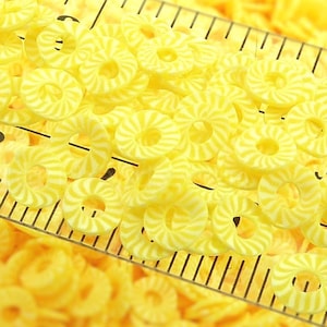 Pineapple Polymer Clay Slices - NOT EDIBLE - Fake Sprinkles, Fake Bake Deco Resin Filler Nail Art Supply,  Table Scatter, Confetti - BPC20