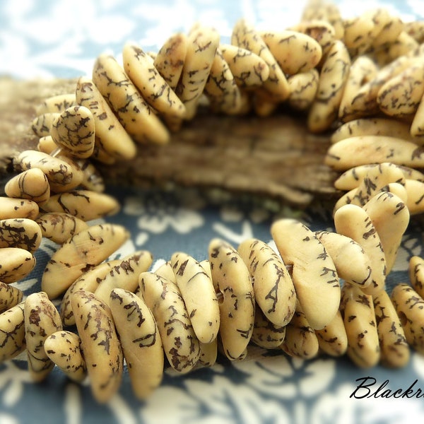 Natural Betel Nut Beads - 15 Inch Strand (about 100 beads) - Wedge Shaped Areca Palm Tree Beads, Rustic Beads, Beige and Dark Brown - BT4