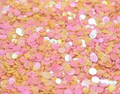 Pink and Yellow Round Disc Glitter - Shimmering Iridescent AB Chunky Color Shift Glitter Discs, Solvent Resistant, 10/20/30 Grams - BGL26