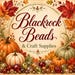 Avatar belonging to BlackrockBeads