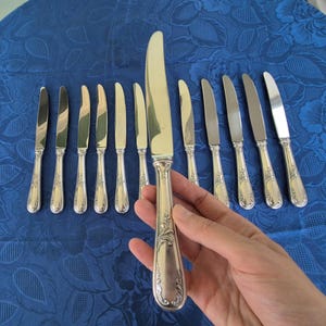 Op de afbeelding: Een set van twaalf zilverkleurige metalen dinermessen met een glad, gepolijst lemmet en een decoratief handvat met een in reliëf aangebracht bloemmotief. Eén mes wordt op de voorgrond vastgehouden, terwijl elf identieke messen erachter liggen.