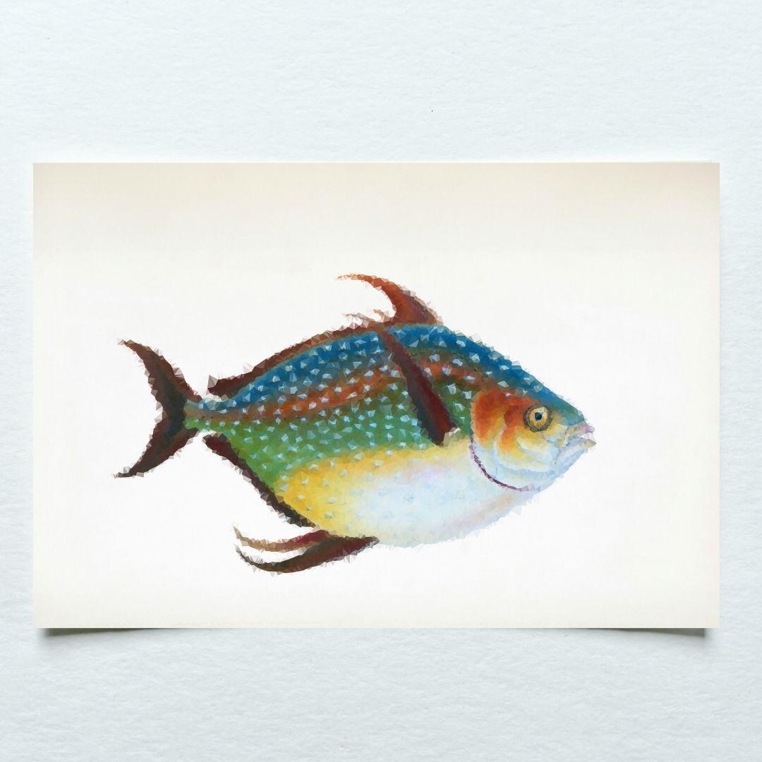 Opah Fish Design Opah Kingfish Fish Print, Minimalist Ocean Art, Sea Creature Gift ...