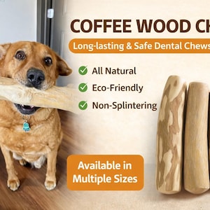 Può includere: Un cane marrone tiene in bocca un bastoncino di legno di caffè. L'immagine mostra anche diversi bastoncini di legno di caffè di varie dimensioni, con il testo "COFFEE WOOD CHEWS" e "Long-lasting & Safe Dental Chews for Dogs".