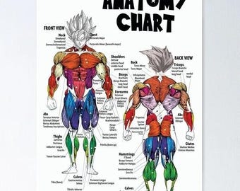NEU LIMITIERT! Goku Muskelbild - Anatomie Poster